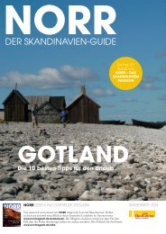 DER SKANDINAVIEN-GUIDE - NORR