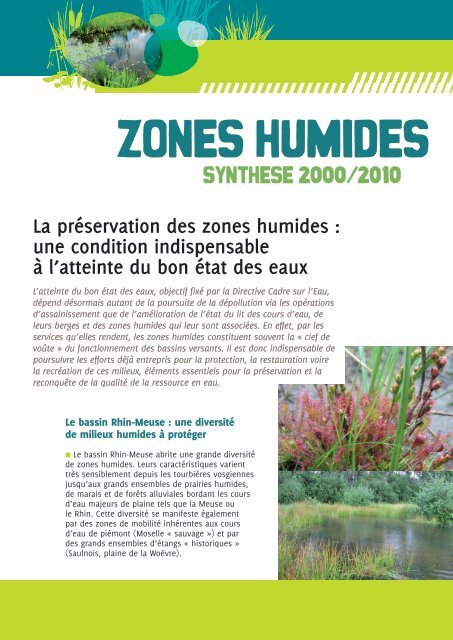 Zones humides - Agence de l'Eau Rhin-Meuse