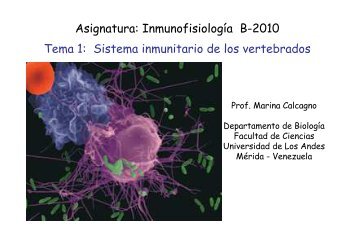 Tema 1 Sistema Inmune B2010 - Facultad de Ciencias