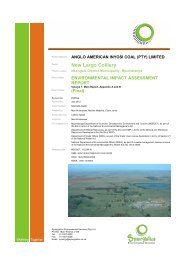 Final EIA Report.pdf - Zitholele.co.za