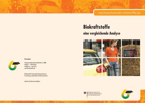 Biokraftstoffe: eine vergleichende Analyse