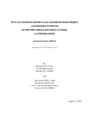 NI 43-101 TECHNICAL REPORT on the SAN ... - Goldgroup Mining