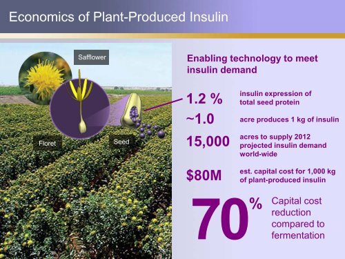 The Production of Therapeutic Proteins in Plants: Apo AI and Insulin