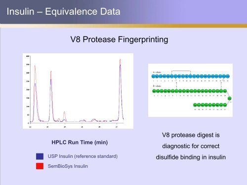 The Production of Therapeutic Proteins in Plants: Apo AI and Insulin