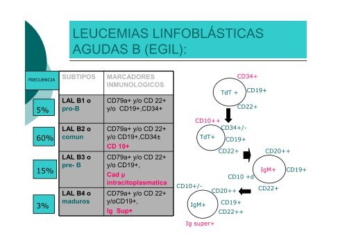 1.- Leucemias Agudas I.pdf