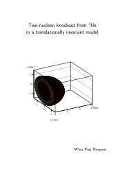 Download Thesis in Pdf Format - Theoretical Nuclear Physics and ...