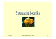 Presnimi predavanje - hirc.botanic.hr, Department of Botany, Faculty ...