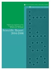 Soft Report - Dipartimento di Fisica - Sapienza