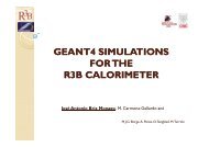 GEANT4 SIMULATIONS FOR THE R3B CALORIMETER