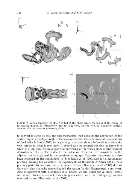 Wake topology and hydrodynamic performance of low-aspect-ratio ...