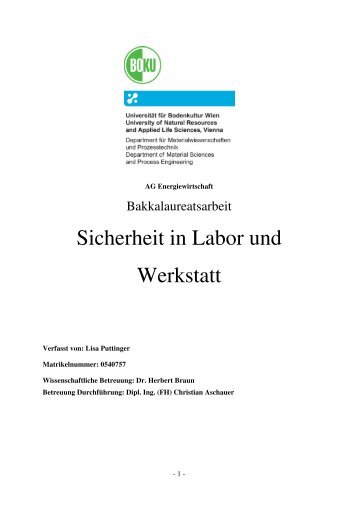 Sicherheit in Labor und Werkstatt - Department fÃ¼r ...