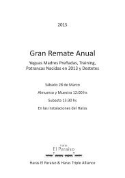 remate28deMarzoElParaiso