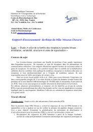 Rapport d'avancement de thÃ¨se de Mlle Mouna Choura Sujet ...