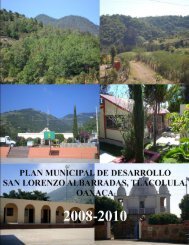 PLAN MUNICIPAL DE SAN LORENZO ALBARRADAS ...