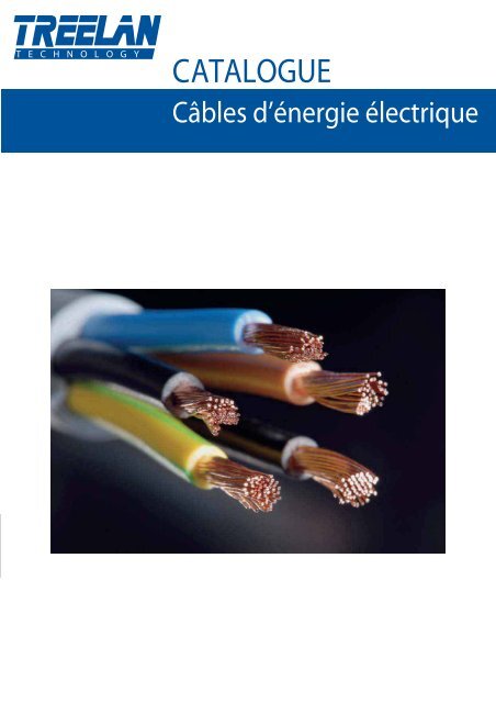 CATALOGUE CABLE ELECTRIQUE.pdf
