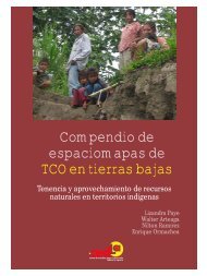 Compendio de espaciomapas de TCO en tierras bajas - Cedla