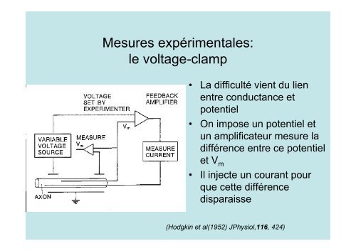 Neuroscience 2fin - copie 1