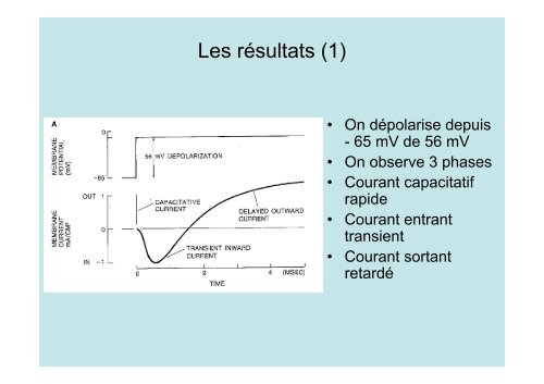 Neuroscience 2fin - copie 1