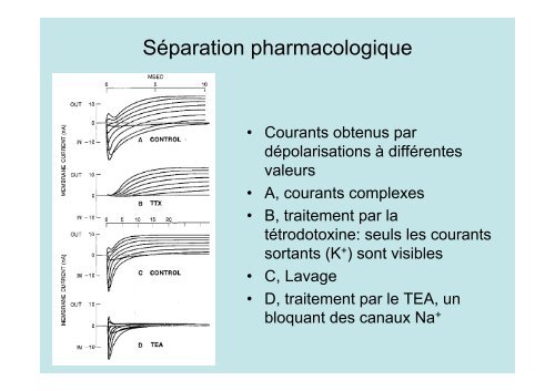 Neuroscience 2fin - copie 1