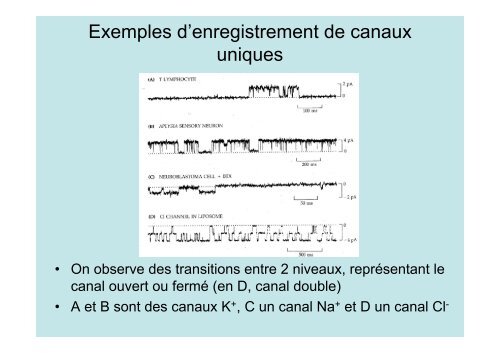 Neuroscience 2fin - copie 1