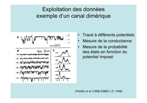 Neuroscience 2fin - copie 1