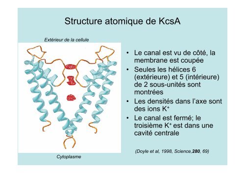 Neuroscience 2fin - copie 1