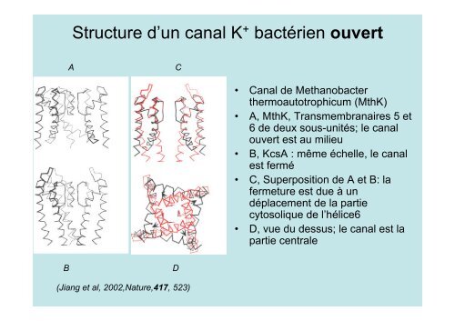 Neuroscience 2fin - copie 1