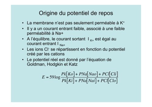 Neuroscience 2fin - copie 1