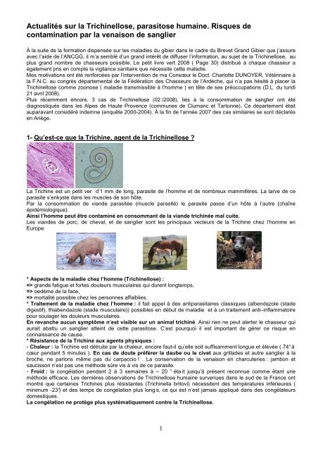 trichinellose du sanglier