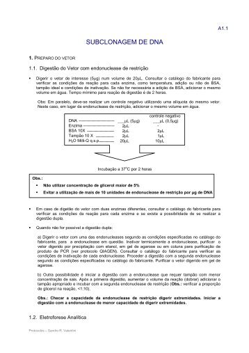 A01- SUBCLONAGEM DE DNA.pdf