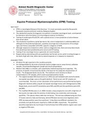 Equine Protozoal Myeloencephalitis (EPM) Testing - Animal Health ...