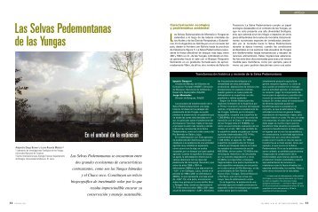 Las Selvas Pedemontanas de las Yungas - FundaciÃ³n CEBio