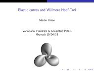 Elastic curves and Willmore Hopf-Tori