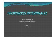 Protozoos intestinales