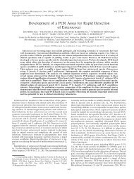 Development of a PCR Assay for Rapid Detection of Enterococci