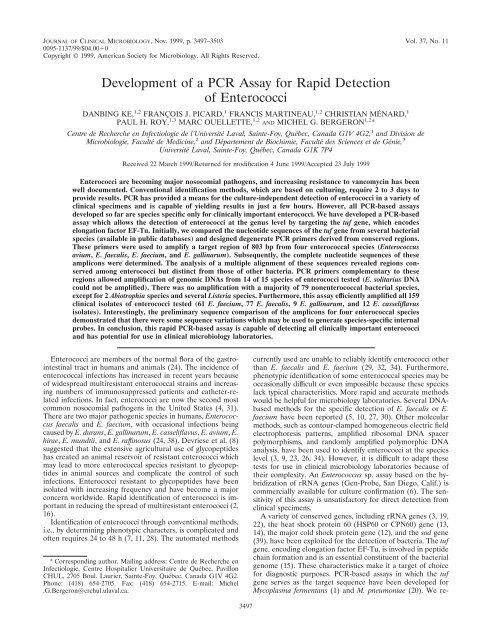 Development of a PCR Assay for Rapid Detection of Enterococci