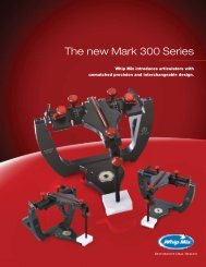 Denar Mark 300 Series Brochure - Whip Mix