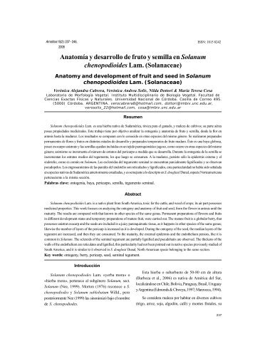 AnatomÃ­a y desarrollo de fruto y semilla en Solanum ...