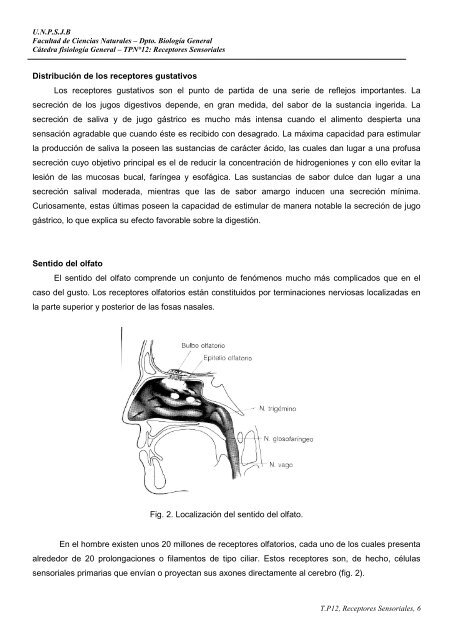 TP NÂº 12 Receptores sensoriales. - Facultad de Ciencias Naturales