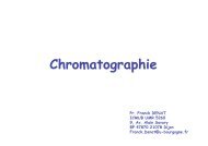 Chromatographie - L3 Chimie Dijon