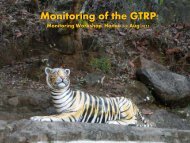 GTF: Supporting Monitoring of the GTRP - Global Tiger Initiative