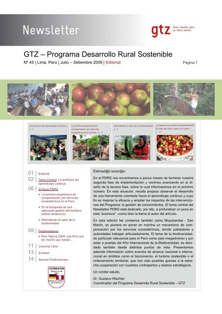 Descargue versión del boletín en PDF