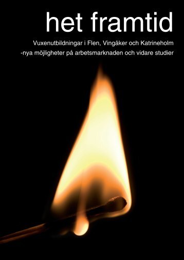 Vuxenutbildningar i Flen, Vingåker och Katrineholm - Katrineholms ...