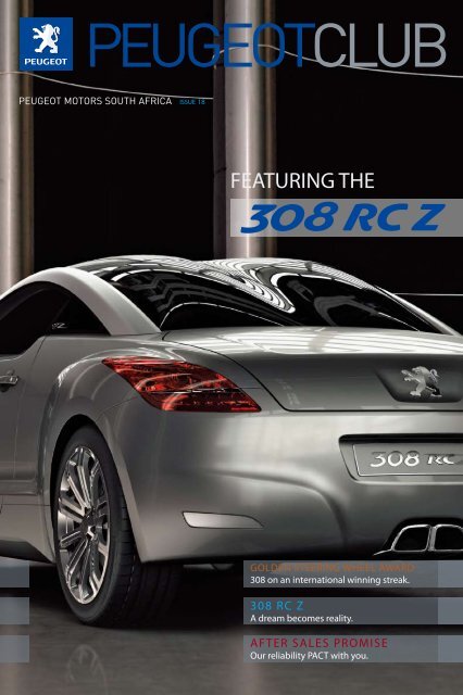 Equipements de la Peugeot RCZ - Féline