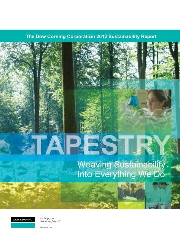 2011 Sustainability Report - Dow Corning