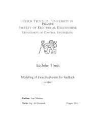 Bachelor Thesis - Czech Technical University in Prague