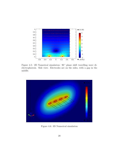 Bachelor Thesis - Czech Technical University in Prague