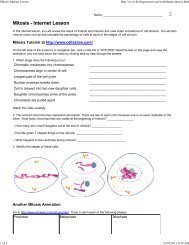 Cell cycle with labels