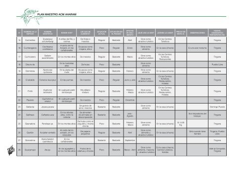 plan AHARAM- parte 4