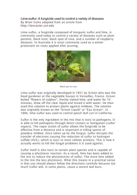 石*郎様 フェンウィック Fenwick FF694-4J Lime Sulfu Lime-sulfur: A fungicide used to control a variety of diseases